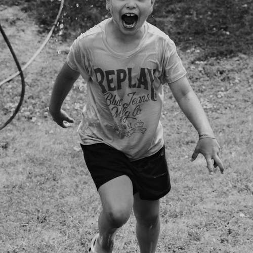 Photo #12413366