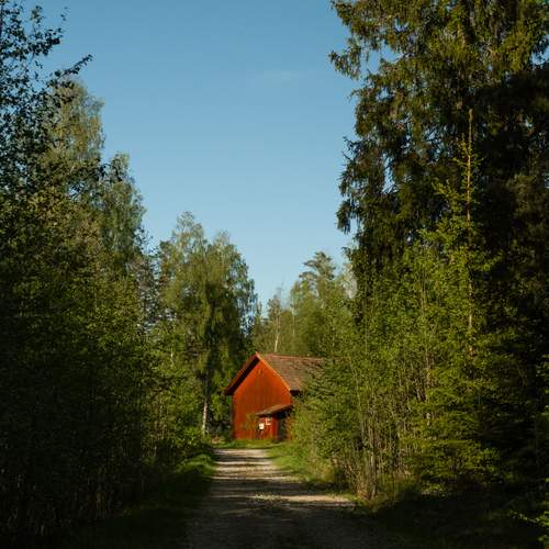 Photo #12413393