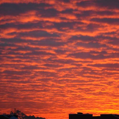 Photo #12413495