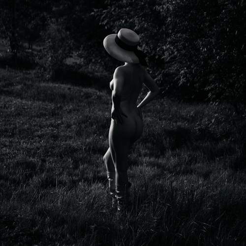 Photo #12413606