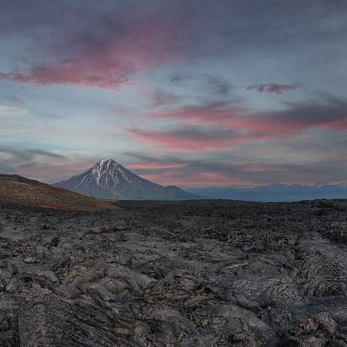 Photo #12413678