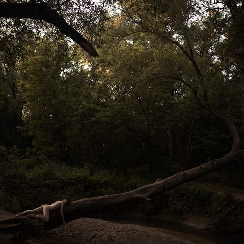 Photo #12414108