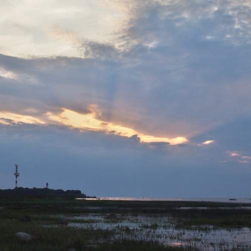 Photo #12414110