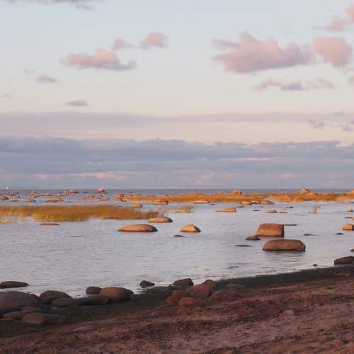 Photo #12414115