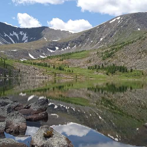 Photo #12414306