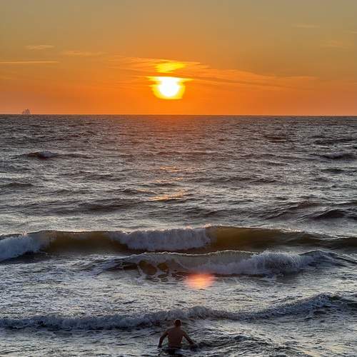 Photo #12414451