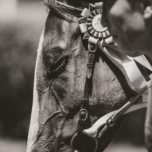 Photo #12414456