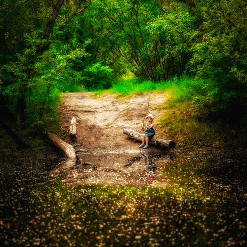 Photo #12414560