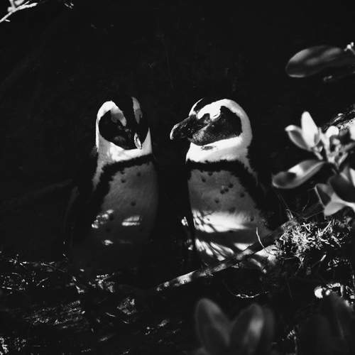 Photo #12414954