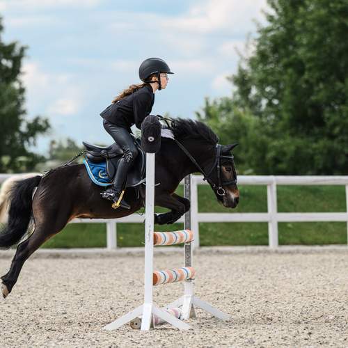 Photo #12415155