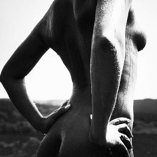 Photo #12415720