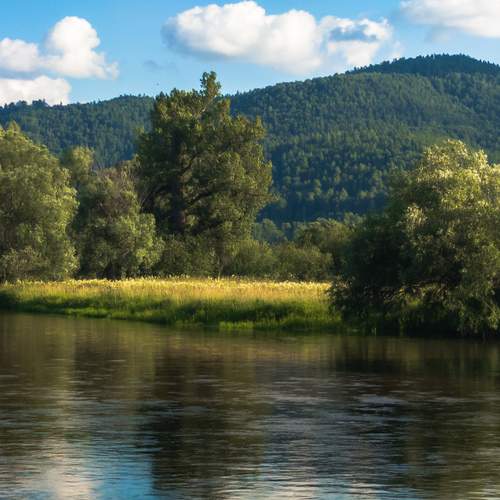 Photo #12415816