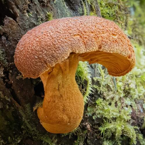 Photo #12416641