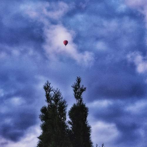 Photo #12417210