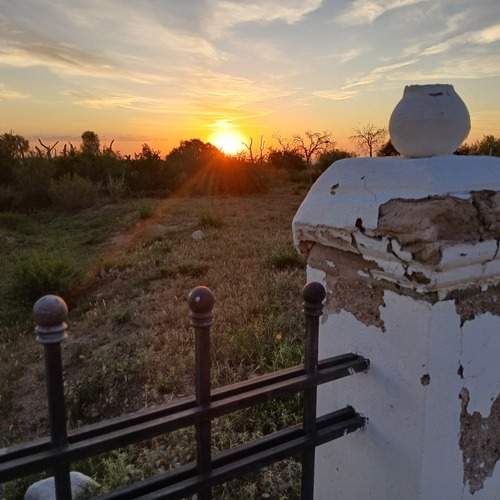 Photo #12417421
