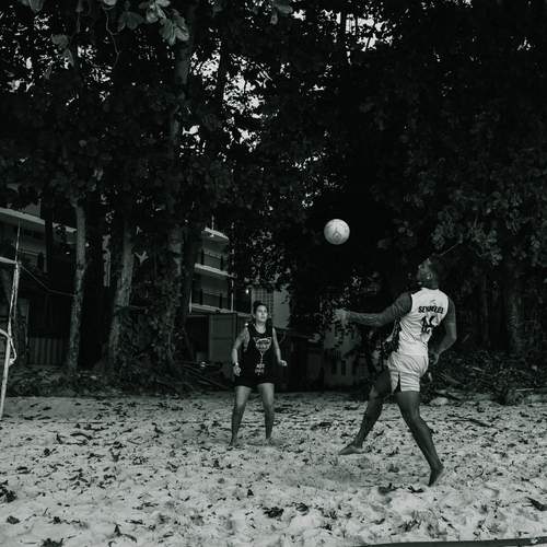 Photo #12417610