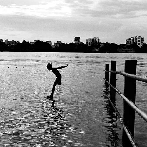 Photo #12417791
