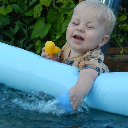 Photo #12417862