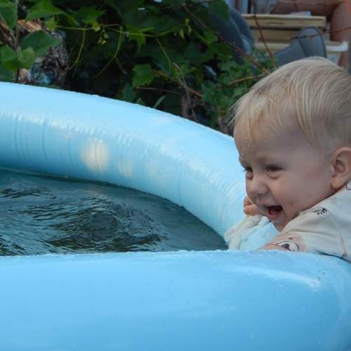 Photo #12417863