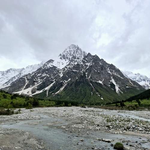 Photo #12418042