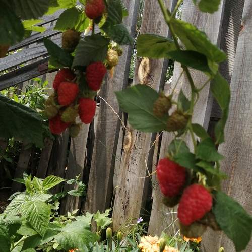 Photo #12418110