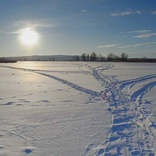 Photo #12418792
