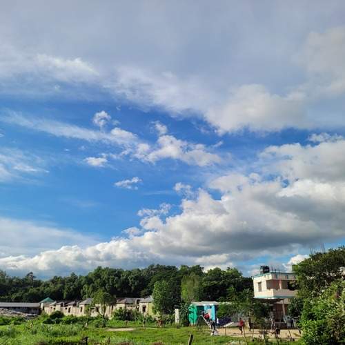 Photo #12418850
