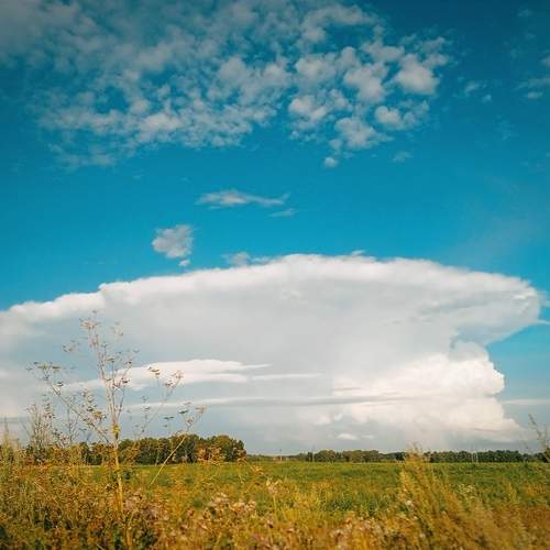 Photo #12418873