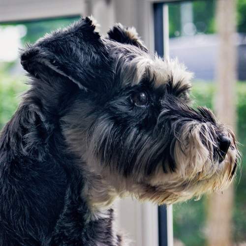 Photo #12418943