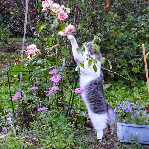 Photo #12419545