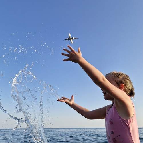 Photo #12419564