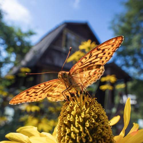 Photo #12419626