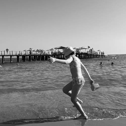 Photo #12419780