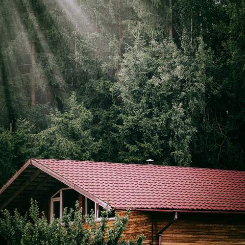 Photo #12419820