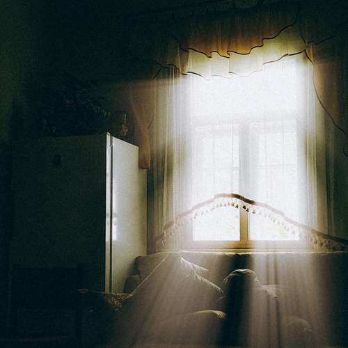 Photo #12419824