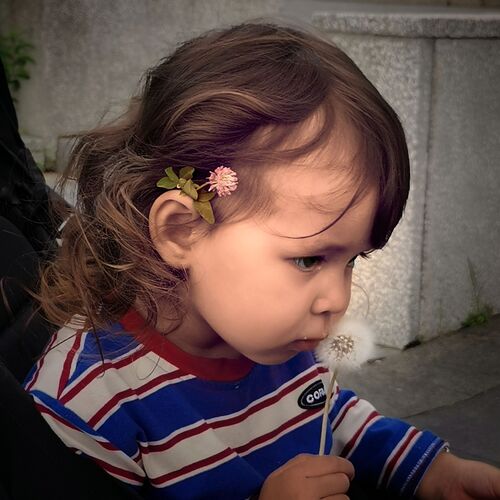 Photo #12420151
