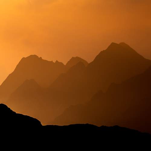 Photo #12420235