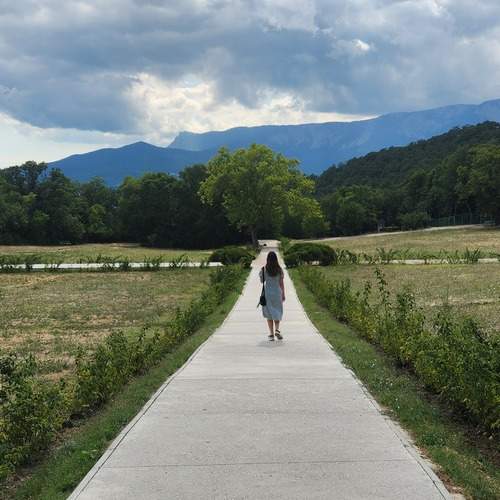 Photo #12420242
