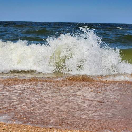 Photo #12420248