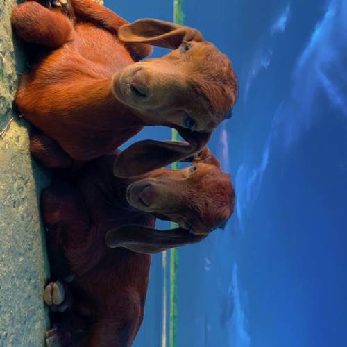 Photo #12420507