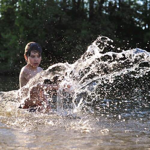 Photo #12420541