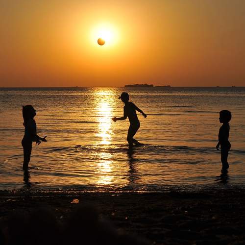 Photo #12420543
