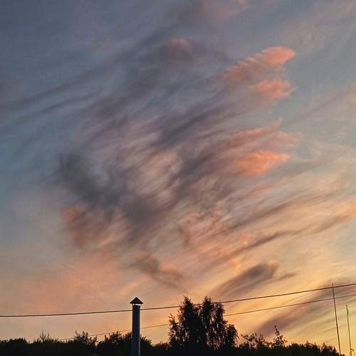 Photo #12420653