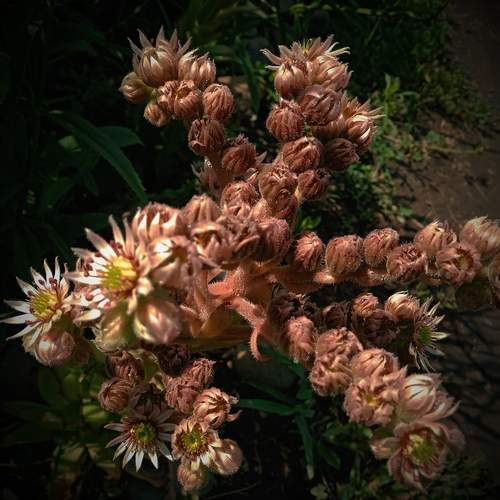 Photo #12421162