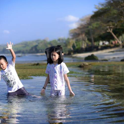 Photo #12421377