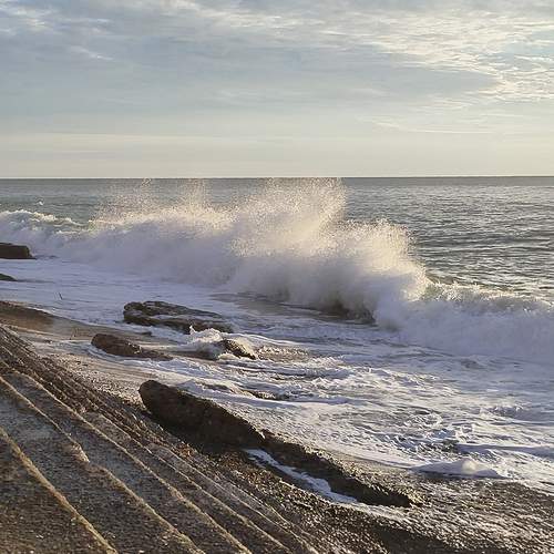 Photo #12421617