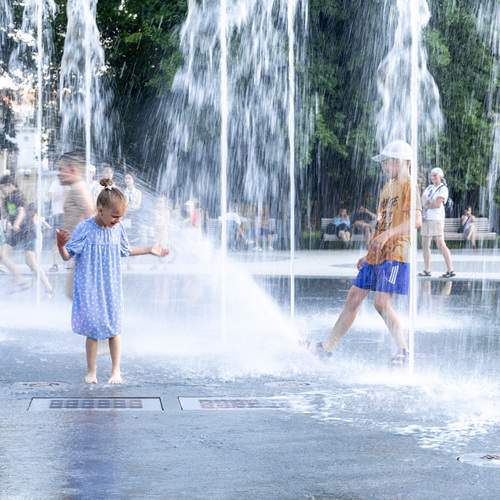 Photo #12421624