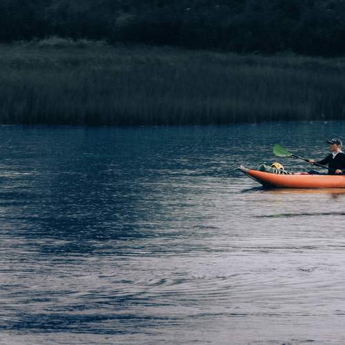 Photo #12421716