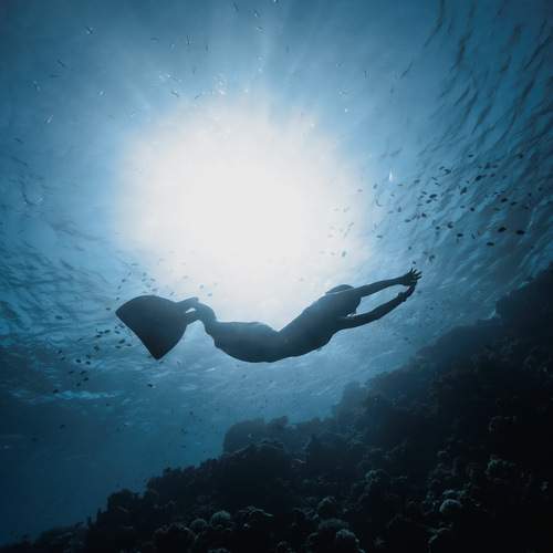 Photo #12422009