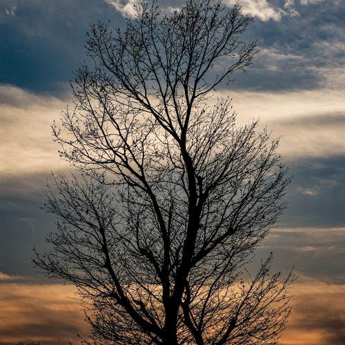 Photo #12422115